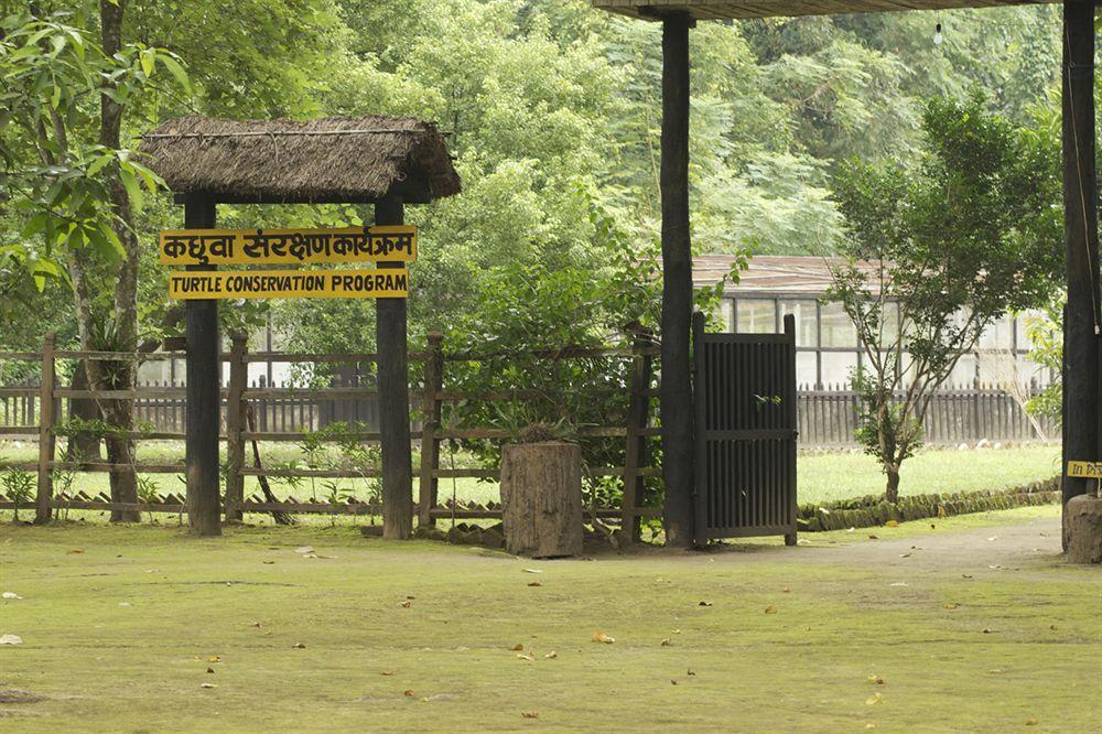 Maruni Sanctuary Lodge By Kgh Group Sauraha Esterno foto